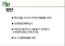 본아이에프 ★ 본죽, 본비빔밥, 본도시락 - swot, 4p, 경쟁사분석 39페이지