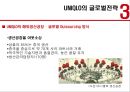 [글로벌경영][경영전략] UNIQLO의 글로벌전략 21페이지