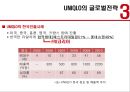 [글로벌경영][경영전략] UNIQLO의 글로벌전략 25페이지