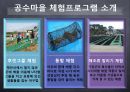 [경영] 어촌체험마을 (장사마을, 계도마을, 공수마을).pptx 17페이지