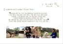  농촌관광 - 팜스테이 16페이지