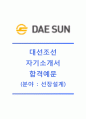 [대선조선자기소개서] 대선조선(선장설계)자기소개서,대선조선자소서합격샘플,대선조선공채자기소개서,대선조선채용자소서,대선조선최신자기소개서자소서 1페이지
