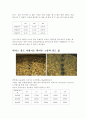 [신소재 공학] 재료의 침탄실험 : 강의 표면을 경화하고 내부를 강인하게 하여 내마멸성을 갖게 하는 표면 경화처리법의 하나인 침탄법을 이해하고 침탄의 실질적인 응용 능력을 습득하고자 한다. 4페이지