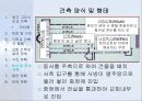[서양건축사] 초기 그리스도교 건축.ppt 21페이지