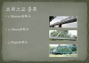 [토목 시공] 교량의 종류와 시공법.pptx 9페이지