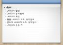[공학] LASER (레이저/레이져).pptx 2페이지