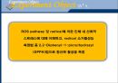 [화학공학실험] 라디칼 소거 활성 측정(DPPH) 4페이지