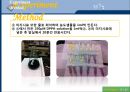[화학공학실험] 라디칼 소거 활성 측정(DPPH) 15페이지