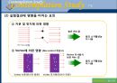 [화학공학실험] 라디칼 소거 활성 측정(DPPH) 25페이지
