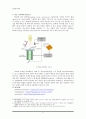 [공업분석화학] Scanning Tunneling Microscopy(STM)기기 5페이지