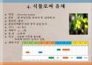 자동차 - 유채를 이용한 바이오 디젤 엔진 5페이지