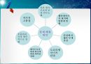  도요타 리콜 사태 분석 8페이지