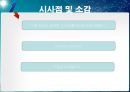  도요타 리콜 사태 분석 9페이지