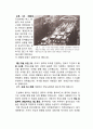 한국 근현대사 - 5 6페이지