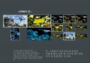 시각 디자인 _ 우표 디자인 2페이지