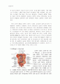 [동물조직학] 입에서 항문까지 소화기계(Digestive System)의 조직학적인 정리 6페이지