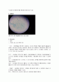 [생물실험보고서] 체세포분열(Mitosis) 2페이지