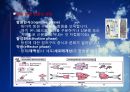 [면역학] 적응면역 (adaptive immunity).pptx 13페이지