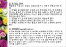[유기화학실험] 재결정 실험 PPT자료 4페이지