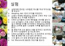 [유기화학실험] 재결정 실험 PPT자료 6페이지