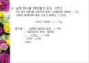 [유기화학실험] 재결정 실험 PPT자료 10페이지