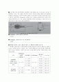 [전기전자 실험] 전자의 비전하(e,m) 측정 4페이지