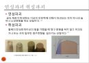  재료공학 실험 - 굽힘 실험 11페이지