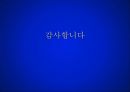  이비스 앰배서더 호텔 31페이지