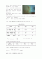  토질 보고서 10페이지