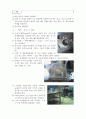  토질 보고서 19페이지