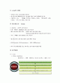 [인간행동과사회환경]분석심리학이론 - Jung의 생애, 정신에너지(리비도), 성격체제와 성격발달 및 탐구기법, 인간 본성에 대한 이미지, 성격의 구조와 성격발달단계 및 평가  2페이지