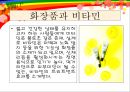 피부와 비타민 (피부미용) 10페이지