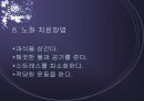 노화와 운동처방 ppt 9페이지