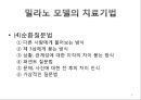 밀라노 가족치료 ppt 자료 8페이지