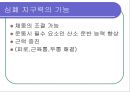 심폐지구력 향상을 위한  운동처방 3페이지