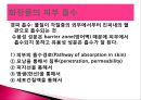 화장품학 ppt 4페이지