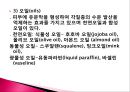 화장품학 ppt 10페이지