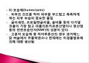 화장품학 ppt 13페이지