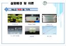 환경부레옥잠 폐수처리 14페이지