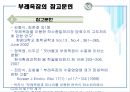 환경부레옥잠 폐수처리 30페이지