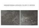 환경영양 평가 33페이지