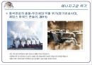  기후에너지문제와 우리의 실천-강의자료 ppt 5페이지