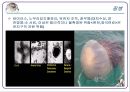  기후에너지문제와 우리의 실천-강의자료 ppt 10페이지