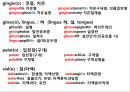시험대비 의학용어, 단어 요약 & 정리 (소화기계, 호흡기계, 심혈관계, 신경계, 골격계, 비뇨생식기계, 감각기관).pptx 2페이지