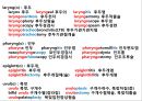 시험대비 의학용어, 단어 요약 & 정리 (소화기계, 호흡기계, 심혈관계, 신경계, 골격계, 비뇨생식기계, 감각기관).pptx 13페이지