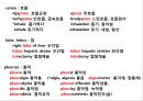 시험대비 의학용어, 단어 요약 & 정리 (소화기계, 호흡기계, 심혈관계, 신경계, 골격계, 비뇨생식기계, 감각기관).pptx 16페이지