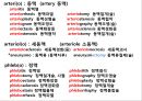 시험대비 의학용어, 단어 요약 & 정리 (소화기계, 호흡기계, 심혈관계, 신경계, 골격계, 비뇨생식기계, 감각기관).pptx 23페이지