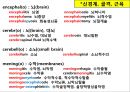 시험대비 의학용어, 단어 요약 & 정리 (소화기계, 호흡기계, 심혈관계, 신경계, 골격계, 비뇨생식기계, 감각기관).pptx 33페이지