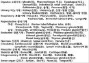 시험대비 의학용어, 단어 요약 & 정리 (소화기계, 호흡기계, 심혈관계, 신경계, 골격계, 비뇨생식기계, 감각기관).pptx 68페이지