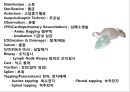 시험대비 의학용어, 단어 요약 & 정리 (소화기계, 호흡기계, 심혈관계, 신경계, 골격계, 비뇨생식기계, 감각기관).pptx 77페이지